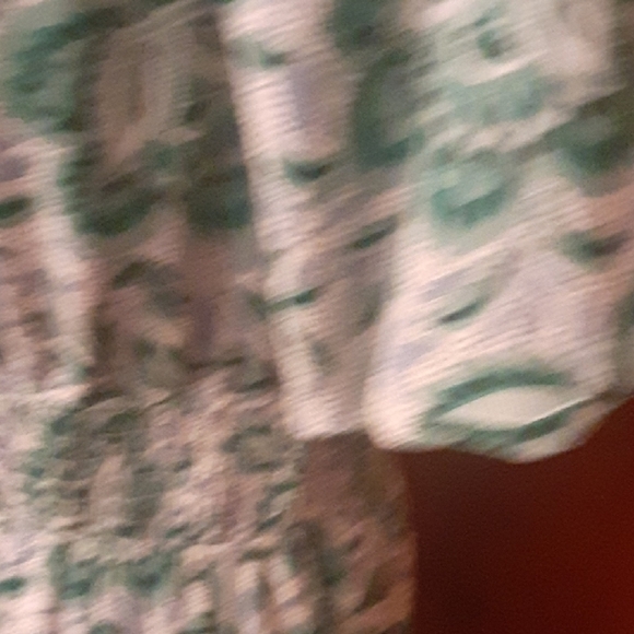 Ann Taylor Floral Green & White Dress - Picture 4 of 9